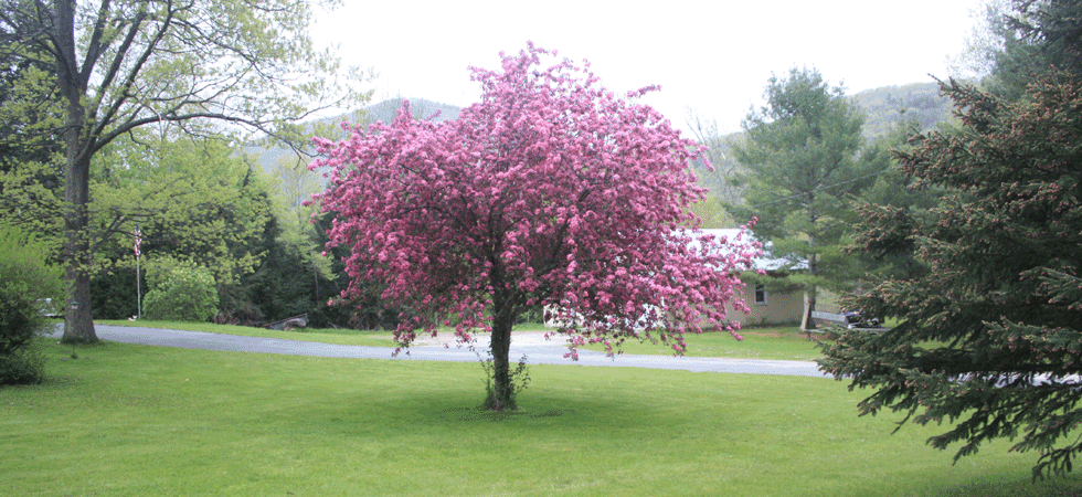 Gallery - Hidden Valley