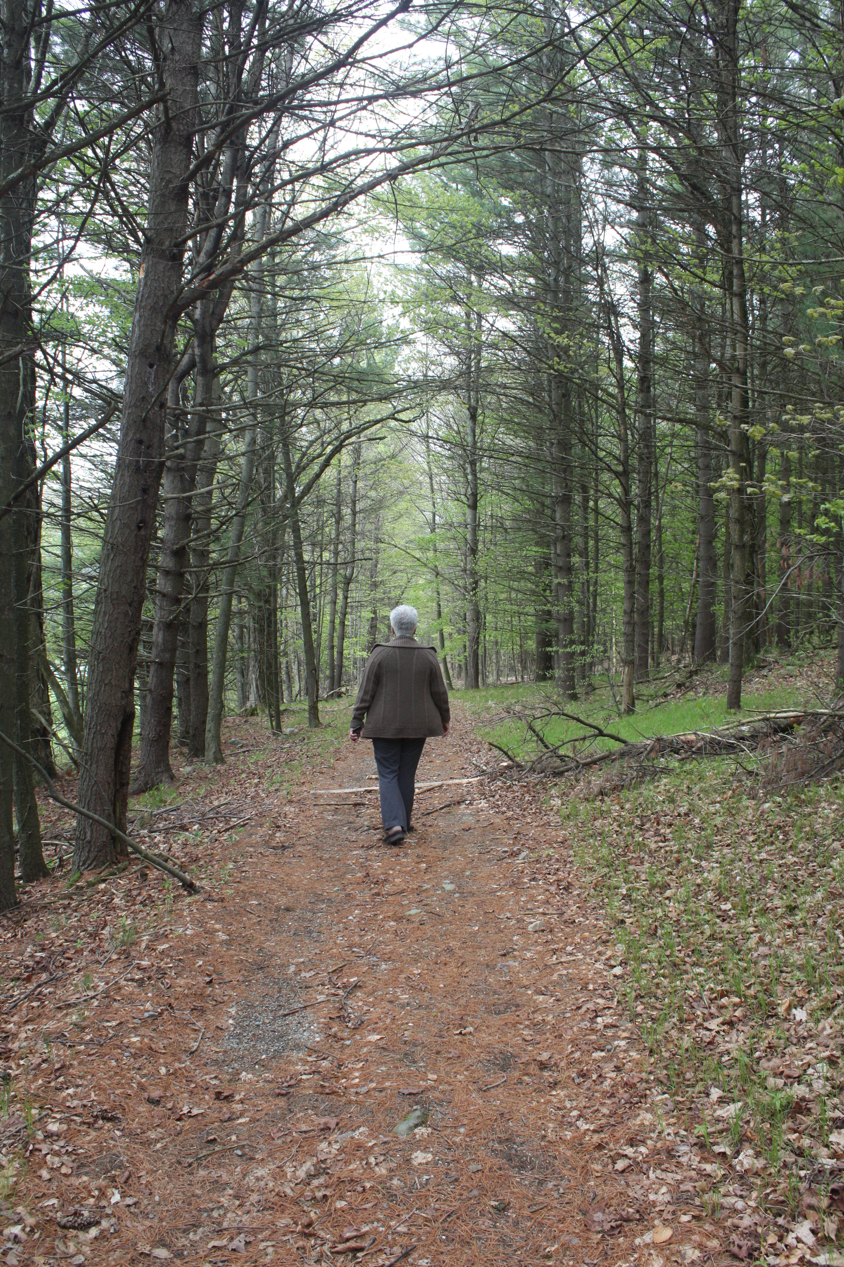Walking - Hidden Valley